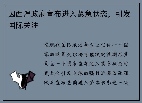 因西涅政府宣布进入紧急状态，引发国际关注