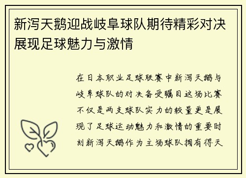 新泻天鹅迎战岐阜球队期待精彩对决展现足球魅力与激情
